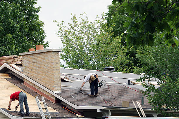 Roof Gutter Cleaning in Valmeyer, IL