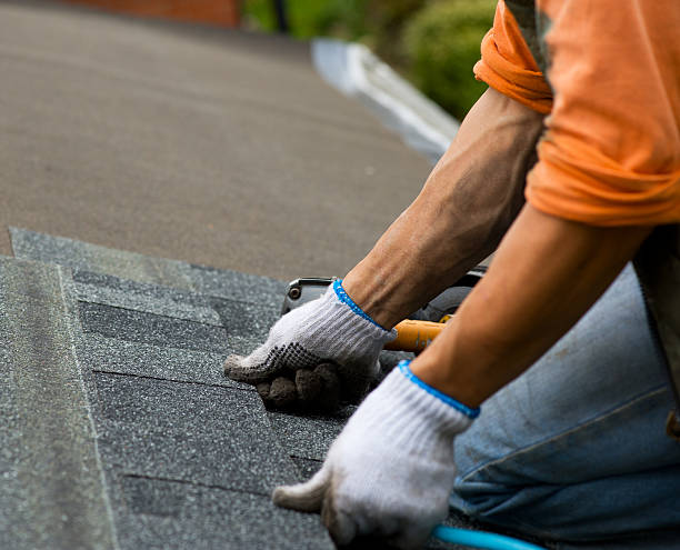 Best Roof Repair Services  in Valmeyer, IL